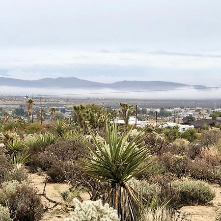 Cozy Desert Retreat With Amazing Views Only 4 Miles To Jtnp Joshua Tree Εξωτερικό φωτογραφία