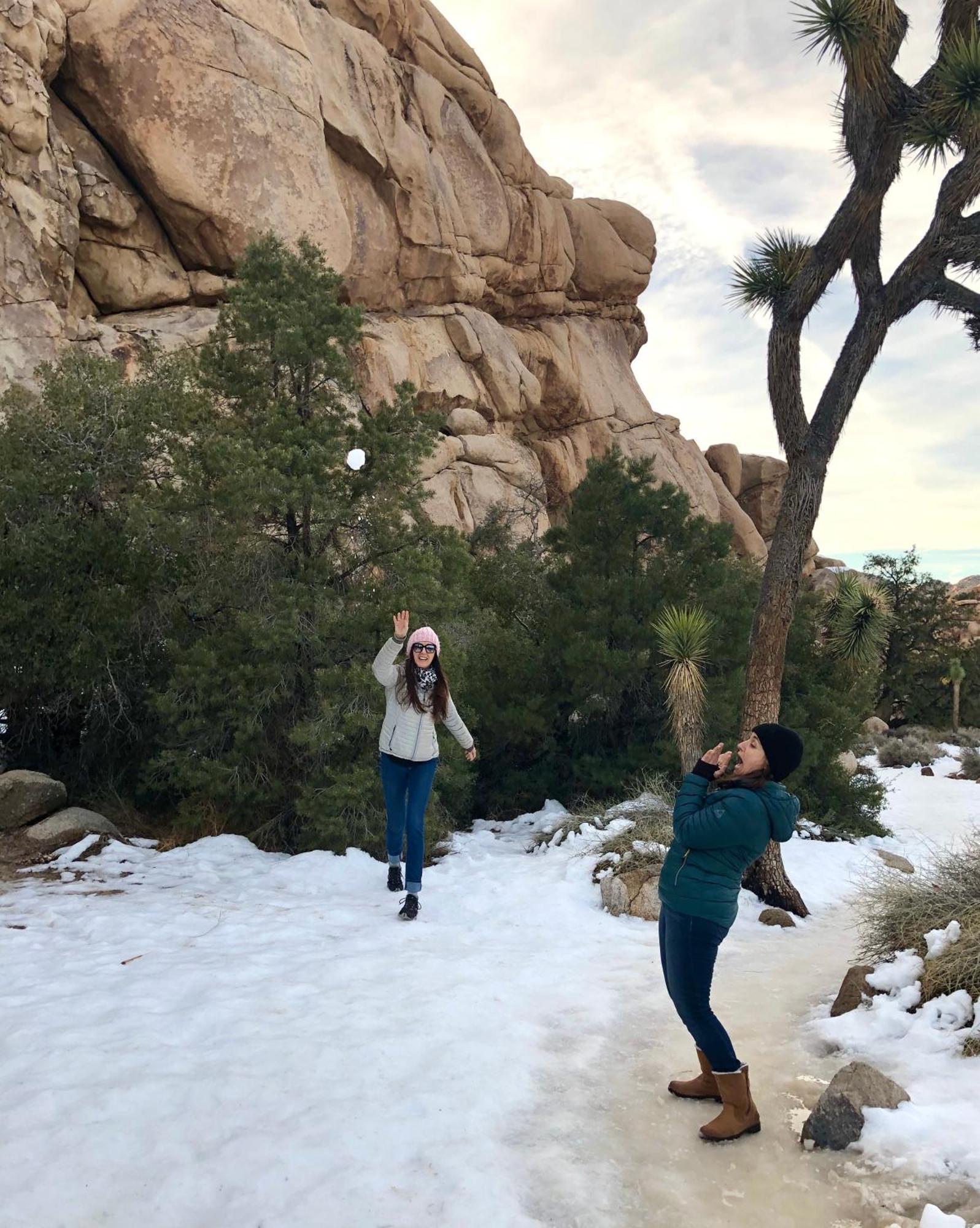 Cozy Desert Retreat With Amazing Views Only 4 Miles To Jtnp Joshua Tree Εξωτερικό φωτογραφία