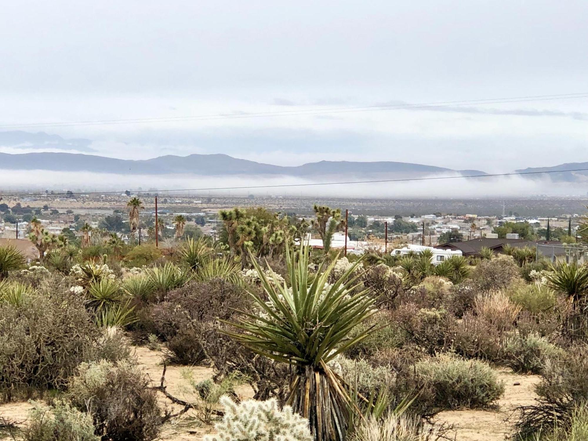 Cozy Desert Retreat With Amazing Views Only 4 Miles To Jtnp Joshua Tree Εξωτερικό φωτογραφία
